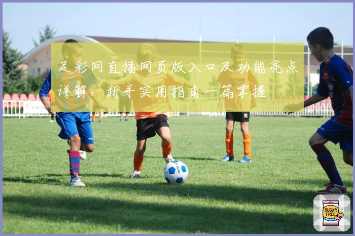 足彩网直播网页版入口及功能亮点详解，新手实用指南一篇掌握