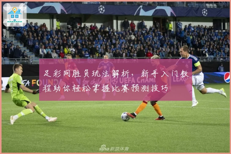 足彩网胜负玩法解析，新手入门教程助你轻松掌握比赛预测技巧
