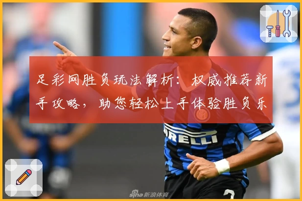 足彩网胜负玩法解析：权威推荐新手攻略，助您轻松上手体验胜负乐趣