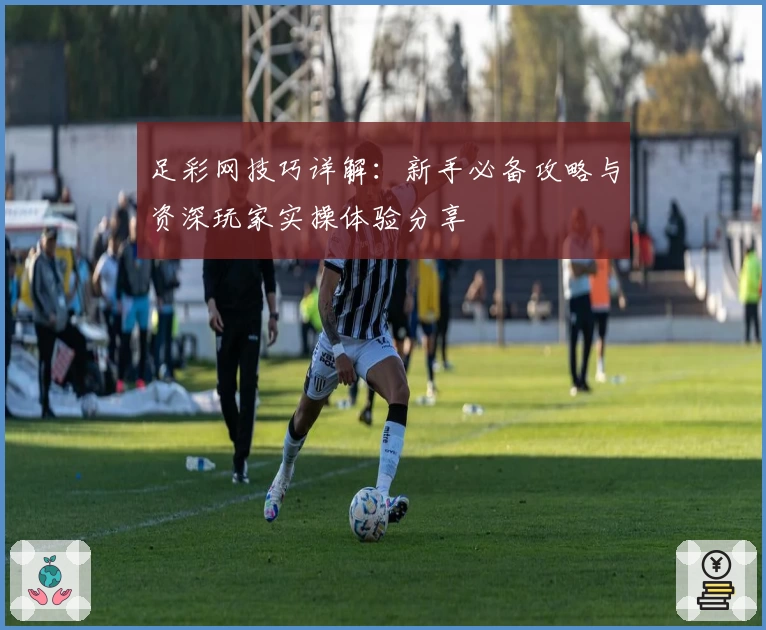 足彩网技巧详解：新手必备攻略与资深玩家实操体验分享