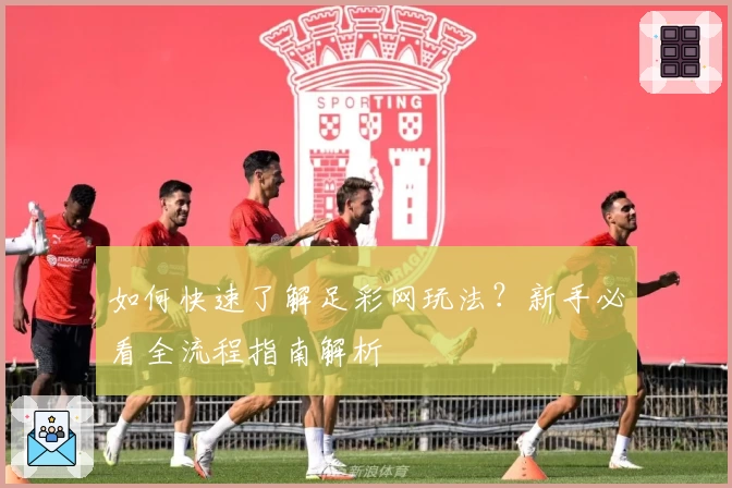 如何快速了解足彩网玩法？新手必看全流程指南解析