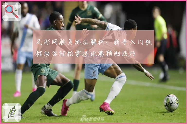 足彩网胜负玩法解析，新手入门教程助你轻松掌握比赛预测技巧