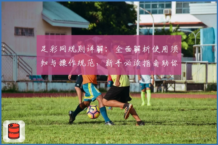 足彩网规则详解：全面解析使用须知与操作规范，新手必读指南助你轻松上手