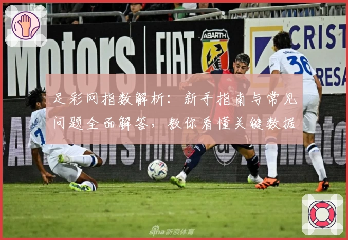 足彩网指数解析：新手指南与常见问题全面解答，教你看懂关键数据