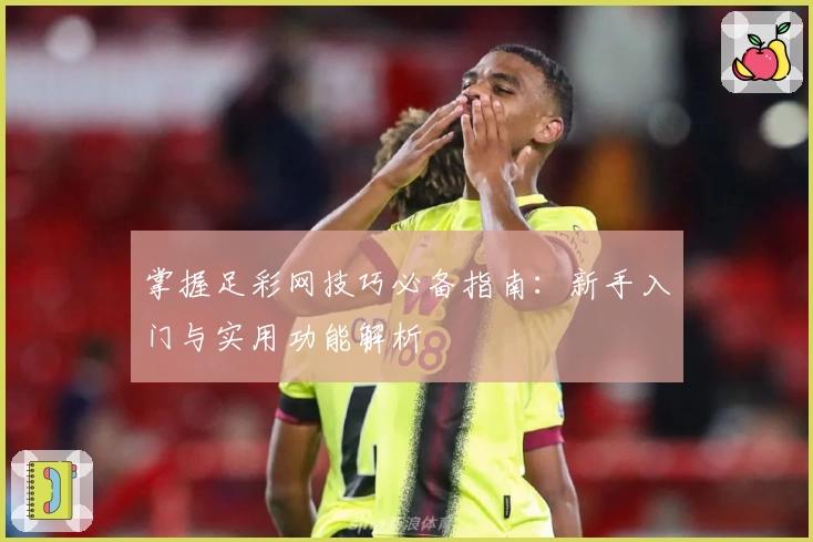 掌握足彩网技巧必备指南：新手入门与实用功能解析