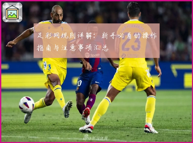 足彩网规则详解：新手必看的操作指南与注意事项汇总