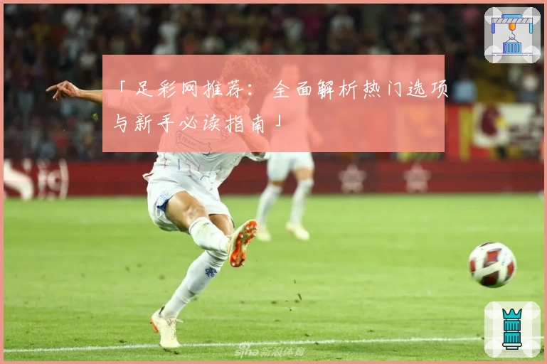 「足彩网推荐：全面解析热门选项与新手必读指南」