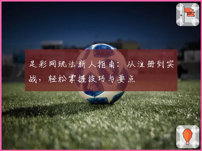 足彩网玩法新人指南：从注册到实战，轻松掌握技巧与要点